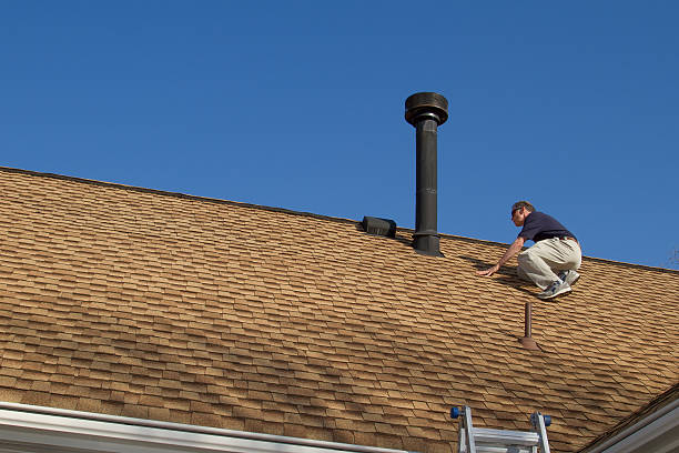 Best Roof Coating and Sealing  in Bad Axe, MI